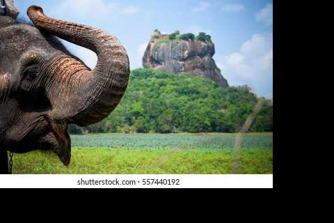 Statue of Liberty & Ellis Island: Ticket Options with Ferry