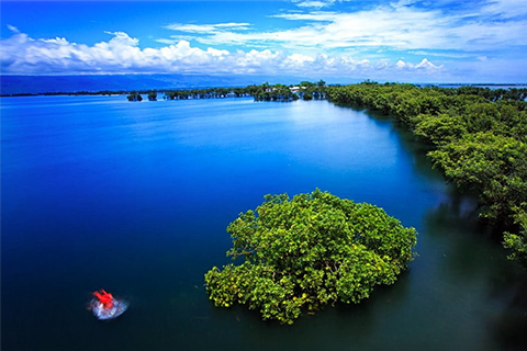 Statue of Liberty & Ellis Island: Ticket Options with Ferry