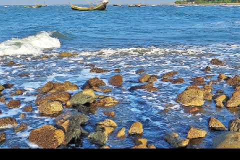 Statue of Liberty & Ellis Island: Ticket Options with Ferry